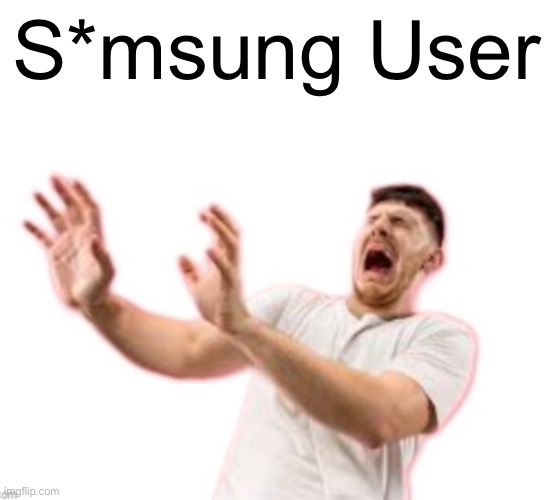 Fr*nch | S*msung User | image tagged in fr nch | made w/ Imgflip meme maker