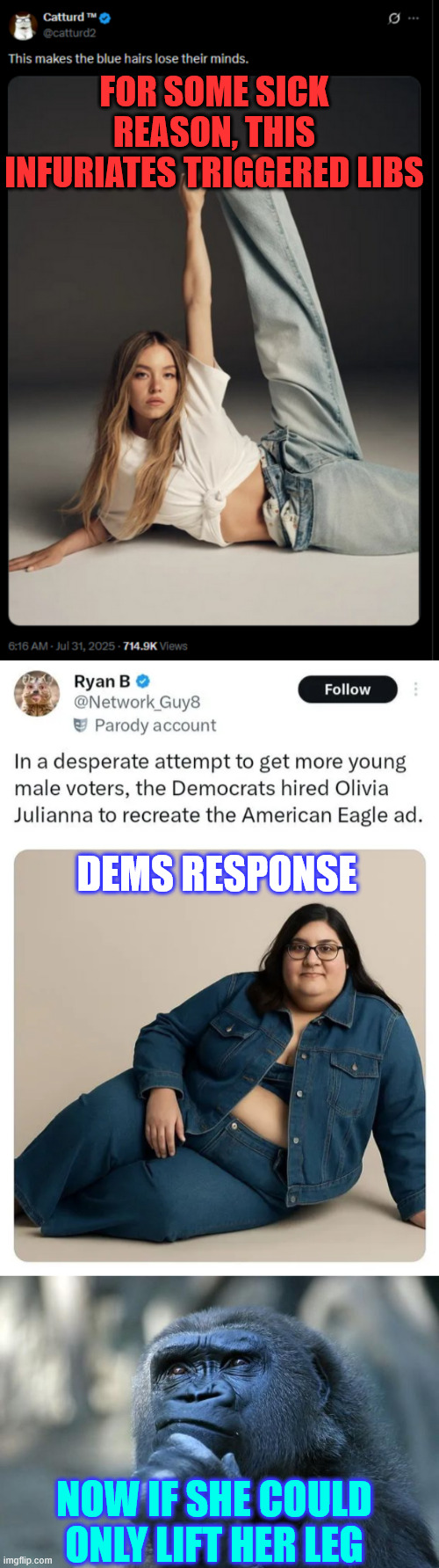 Libs have major meltdown over new ad from American Eagle | FOR SOME SICK REASON, THIS INFURIATES TRIGGERED LIBS; DEMS RESPONSE; NOW IF SHE COULD ONLY LIFT HER LEG | image tagged in triggered libs,meltdown oved jeans ad | made w/ Imgflip meme maker