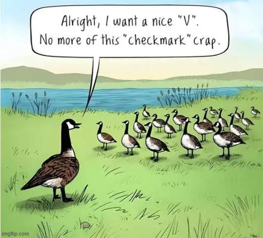 Flight school | image tagged in repost,flight school | made w/ Imgflip meme maker