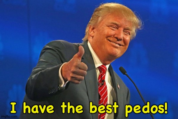 The best | I have the best pedos! | image tagged in trump winning smarmy grinning | made w/ Imgflip meme maker