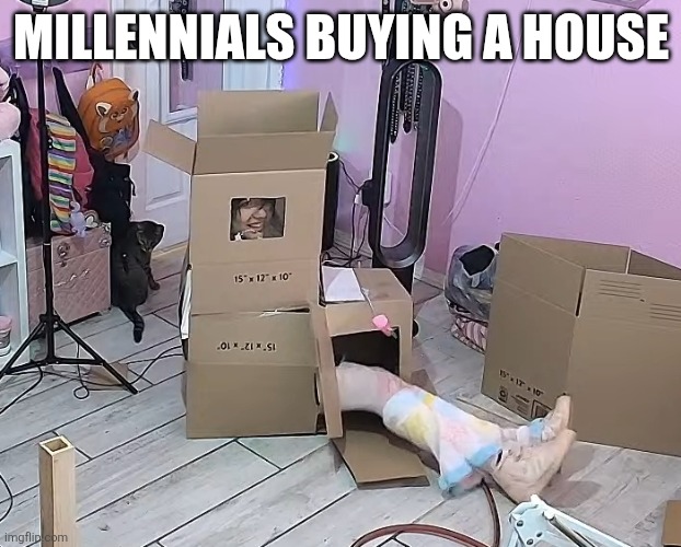 Millennials buying a house | MILLENNIALS BUYING A HOUSE | image tagged in millennials,house | made w/ Imgflip meme maker
