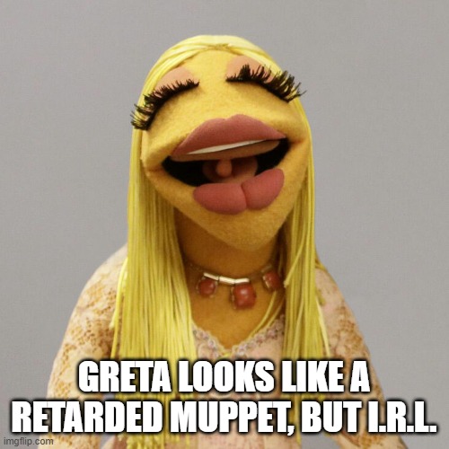 The Muppets' Janice | GRETA LOOKS LIKE A RETARDED MUPPET, BUT I.R.L. | image tagged in the muppets' janice | made w/ Imgflip meme maker