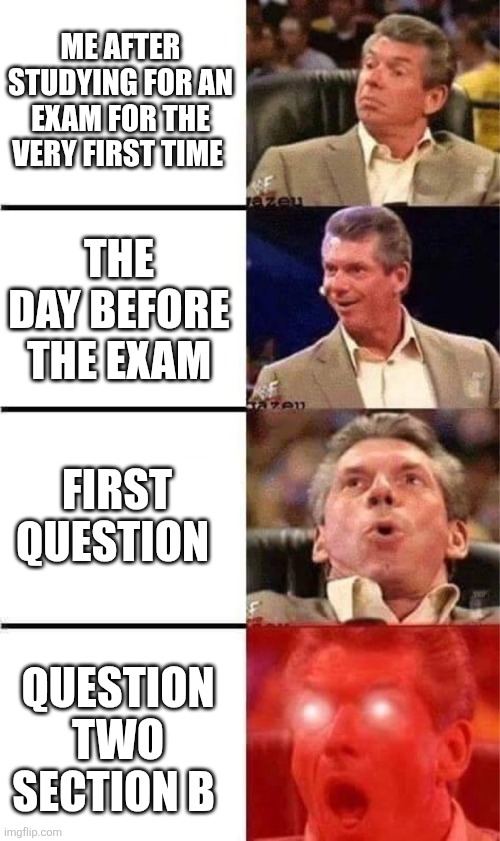 Vince McMahon Reaction w/Glowing Eyes | ME AFTER STUDYING FOR AN EXAM FOR THE VERY FIRST TIME; THE DAY BEFORE THE EXAM; FIRST QUESTION; QUESTION TWO SECTION B | image tagged in vince mcmahon reaction w/glowing eyes | made w/ Imgflip meme maker