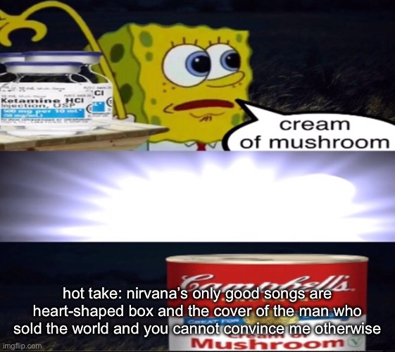 cream of mushroom | hot take: nirvana’s only good songs are heart-shaped box and the cover of the man who sold the world and you cannot convince me otherwise | image tagged in cream of mushroom | made w/ Imgflip meme maker