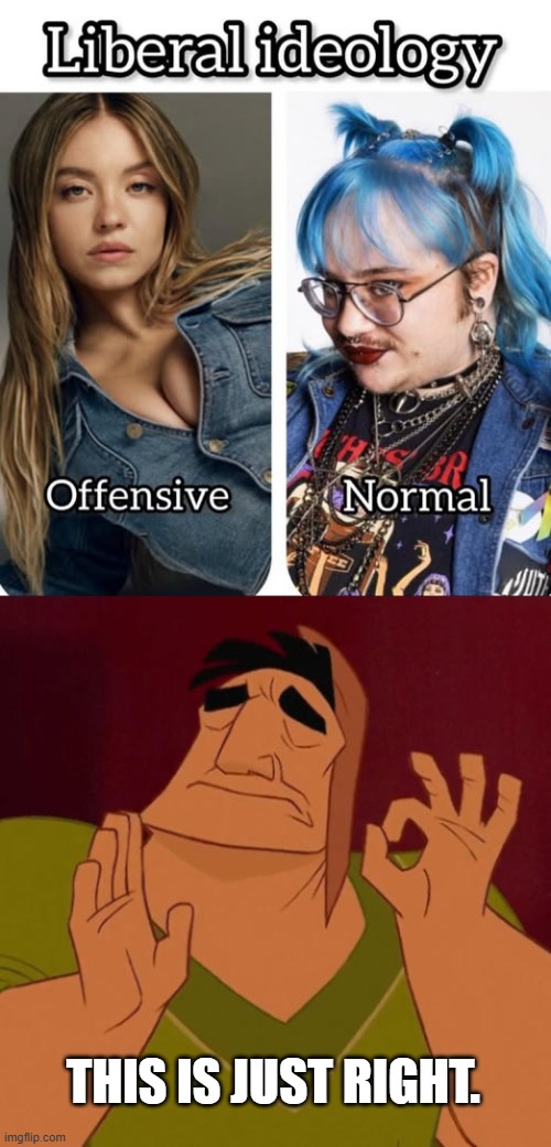 Petty Privilege | THIS IS JUST RIGHT. | image tagged in when x just right | made w/ Imgflip meme maker