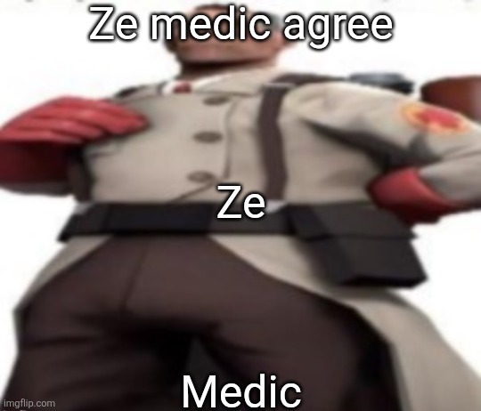 Ze medic | Ze medic agree Ze Medic | image tagged in ze medic | made w/ Imgflip meme maker