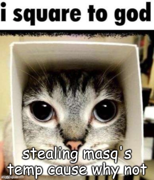 whoever steals my temps is getting a rimjob | stealing masq's temp cause why not | image tagged in i square to god | made w/ Imgflip meme maker