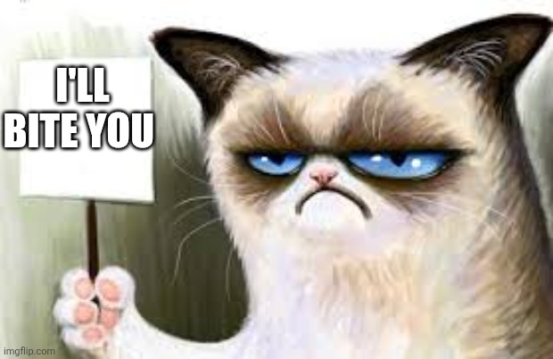 The cat and sighn | I'LL BITE YOU | image tagged in passive aggressive | made w/ Imgflip meme maker