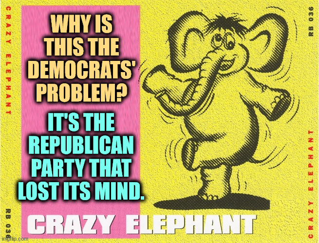 WHY IS THIS THE DEMOCRATS' PROBLEM? IT'S THE REPUBLICAN PARTY THAT LOST ITS MIND. | image tagged in democrats,republicans,crazy,trump,insane | made w/ Imgflip meme maker