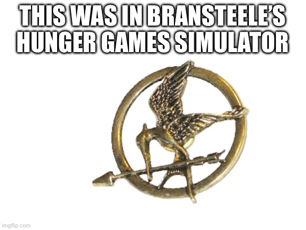 THIS WAS IN BRANSTEELE’S HUNGER GAMES SIMULATOR | made w/ Imgflip meme maker