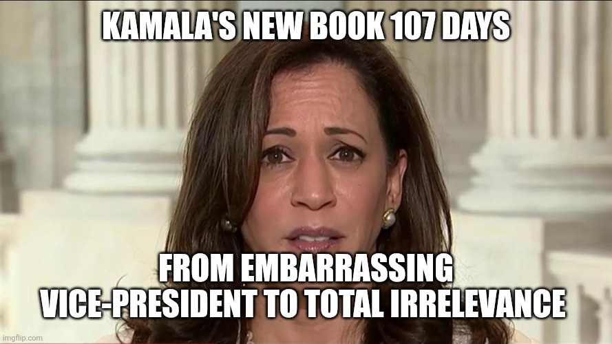 kamala harris | KAMALA'S NEW BOOK 107 DAYS; FROM EMBARRASSING VICE-PRESIDENT TO TOTAL IRRELEVANCE | image tagged in kamala harris | made w/ Imgflip meme maker