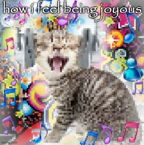 The world truly is beautiful | how i feel being joyous | image tagged in cat,happy | made w/ Imgflip meme maker