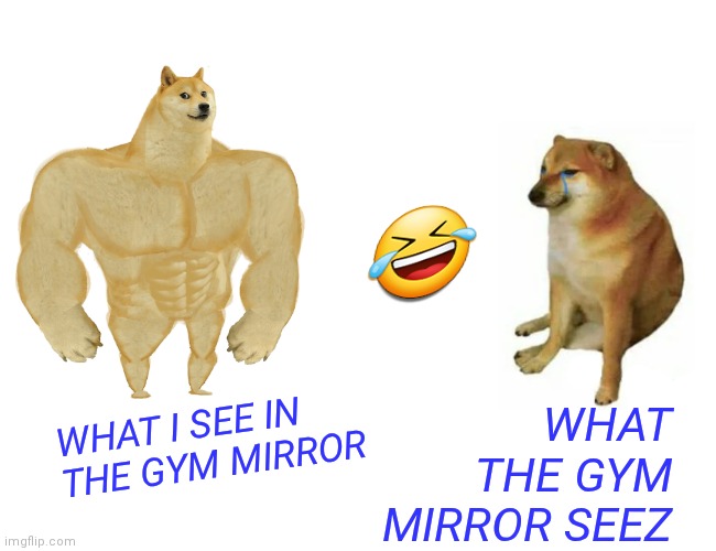 Buff Doge vs. Cheems | 🤣; WHAT THE GYM MIRROR SEEZ; WHAT I SEE IN THE GYM MIRROR | image tagged in memes,buff doge vs cheems | made w/ Imgflip meme maker