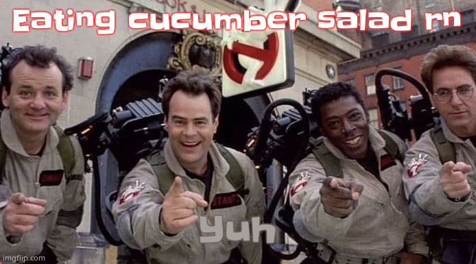 I put vinegar on it basically making raw pickles | Eating cucumber salad rn; Yuh | image tagged in ghostbusters pointing and laughing | made w/ Imgflip meme maker
