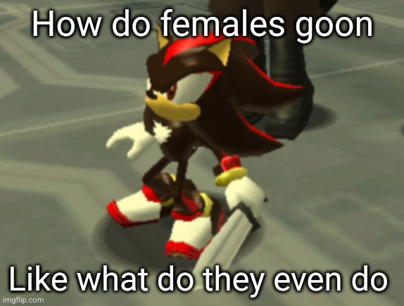 erm frankly, girls scare me. OOWHAHAHAHAHDJDNENSN | How do females goon; Like what do they even do | image tagged in shadow the hedgehog with a knife | made w/ Imgflip meme maker