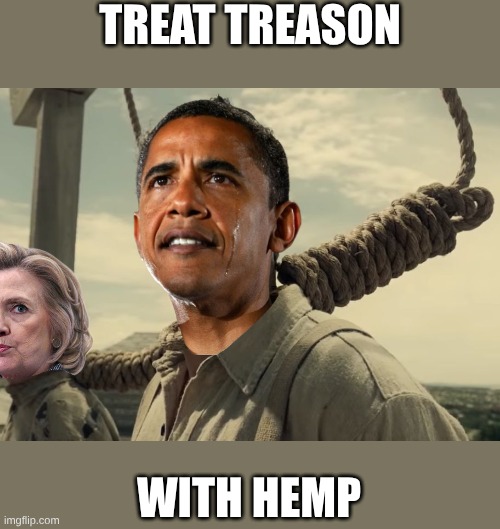 There's only one cure | TREAT TREASON; WITH HEMP | image tagged in first time | made w/ Imgflip meme maker
