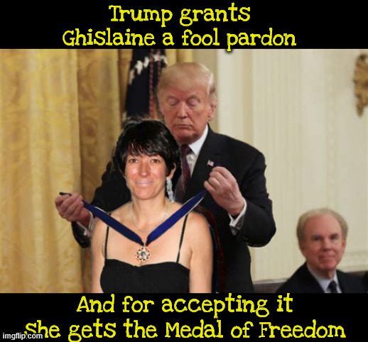 Trump grants a fool pardon | image tagged in trump grants a fool pardon,epstein scandal,pedophile president,wonderfuf secret staying that way,maga medal | made w/ Imgflip meme maker