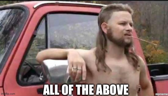 almost politically correct redneck | ALL OF THE ABOVE | image tagged in almost politically correct redneck | made w/ Imgflip meme maker
