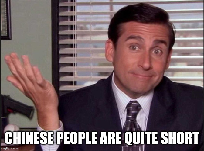 Michael Scott | CHINESE PEOPLE ARE QUITE SHORT | image tagged in michael scott | made w/ Imgflip meme maker