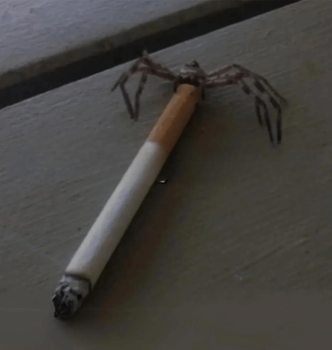 smoking spider Blank Meme Template