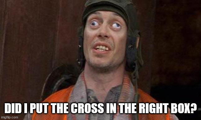 Looks Good To Me | DID I PUT THE CROSS IN THE RIGHT BOX? | image tagged in looks good to me | made w/ Imgflip meme maker