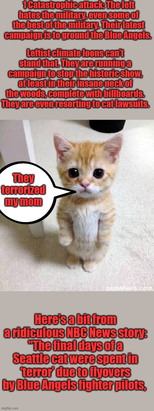 Terrorized Cats son Sues Trump. | 1 Catastrophic attack: The left hates the military, even some of the best of the military. Their latest campaign is to ground the Blue Angels. Leftist climate loons can’t stand that. They are running a campaign to stop the historic show, at least in their insane neck of the woods, complete with billboards. They are even resorting to cat lawsuits. They terrorized my mom; Here’s a bit from a ridiculous NBC News story: "The final days of a Seattle cat were spent in ‘terror’ due to flyovers by Blue Angels fighter pilots, | image tagged in memes,cute cat | made w/ Imgflip meme maker