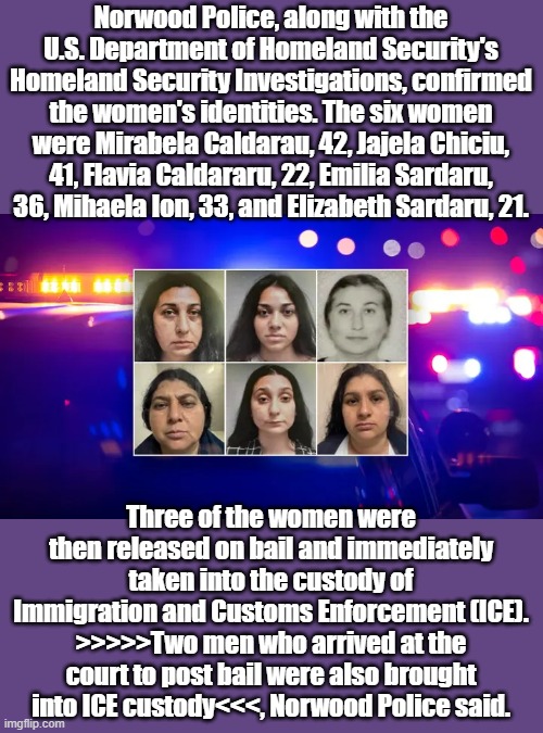 They just want a job. They're assets to America | Norwood Police, along with the U.S. Department of Homeland Security's Homeland Security Investigations, confirmed the women's identities. The six women were Mirabela Caldarau, 42, Jajela Chiciu, 41, Flavia Caldararu, 22, Emilia Sardaru, 36, Mihaela Ion, 33, and Elizabeth Sardaru, 21. Three of the women were then released on bail and immediately taken into the custody of Immigration and Customs Enforcement (ICE). >>>>>Two men who arrived at the court to post bail were also brought into ICE custody<<<, Norwood Police said. | made w/ Imgflip meme maker
