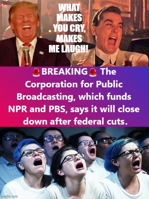 What makes you cry, makes me laugh! | WHAT MAKES YOU CRY, MAKES ME LAUGH! . | image tagged in laughter,crying liberal | made w/ Imgflip meme maker
