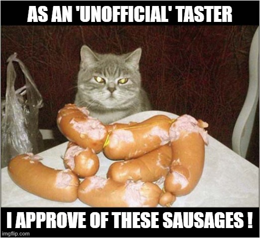 What A Useful Cat ! | AS AN 'UNOFFICIAL' TASTER; I APPROVE OF THESE SAUSAGES ! | image tagged in cats,taste,sausages | made w/ Imgflip meme maker