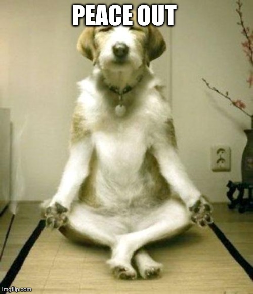 Inner Peace Dog | PEACE OUT | image tagged in inner peace dog | made w/ Imgflip meme maker