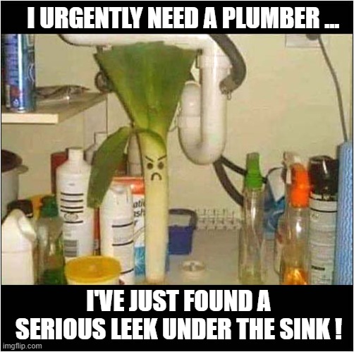 I Must Not Panic ! | I URGENTLY NEED A PLUMBER ... I'VE JUST FOUND A SERIOUS LEEK UNDER THE SINK ! | image tagged in panic,plumber,serious,leek,play on words | made w/ Imgflip meme maker