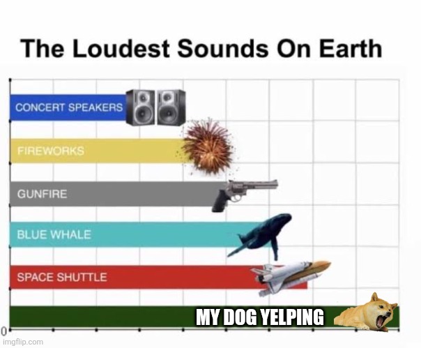 The Loudest Sounds on Earth | MY DOG YELPING | image tagged in the loudest sounds on earth,dogs,memes,funny,e | made w/ Imgflip meme maker
