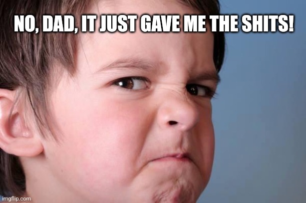 angry kid | NO, DAD, IT JUST GAVE ME THE SHITS! | image tagged in angry kid | made w/ Imgflip meme maker