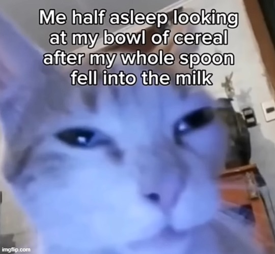 image tagged in shitpost,cat | made w/ Imgflip meme maker