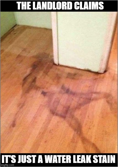 What Happened To The Previous Tennent ? | THE LANDLORD CLAIMS; IT'S JUST A WATER LEAK STAIN | image tagged in landlords,tennents,death,stain,dark humour | made w/ Imgflip meme maker