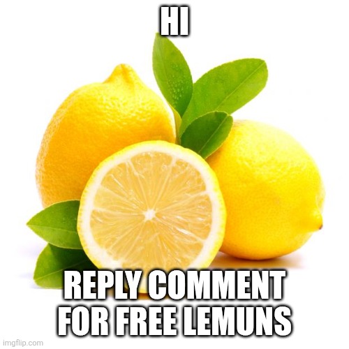 when lif gives you lemons | HI REPLY COMMENT FOR FREE LEMUNS | image tagged in when lif gives you lemons | made w/ Imgflip meme maker