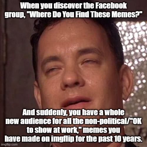 Really read the group rules before deciding to join yourself. | When you discover the Facebook group, "Where Do You Find These Memes?"; And suddenly, you have a whole new audience for all the non-political/"OK to show at work," memes you have made on imgflip for the past 10 years. | image tagged in tom hanks orgasm,memes,funny memes | made w/ Imgflip meme maker