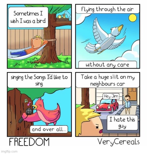 Very Cereals | image tagged in comics,verycereals,i wish i was a bird | made w/ Imgflip meme maker