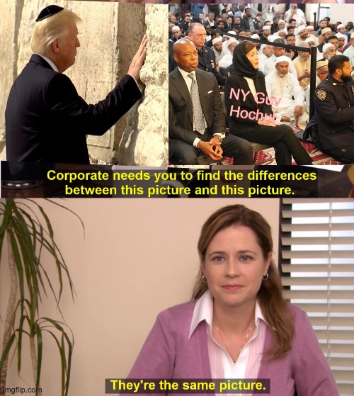 They're The Same Picture | NY Guv
Hochul | image tagged in memes,they're the same picture | made w/ Imgflip meme maker