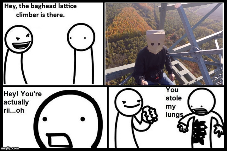 The famous Lungs incident | image tagged in asdf movie,youtube,latticeclimbing,dark humor,climbing memes,asdf movie memes | made w/ Imgflip meme maker
