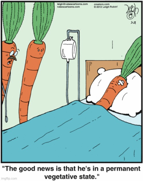 Rubes | image tagged in comics,rubes,hospital,carrots,vegetative state | made w/ Imgflip meme maker