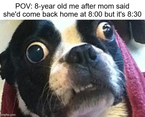 "SHE'S BEEN KIDNAPPED" | POV: 8-year old me after mom said she'd come back home at 8:00 but it's 8:30 | image tagged in eyes wide open terrier,funny,memes,relatable,childhood,unsettled | made w/ Imgflip meme maker