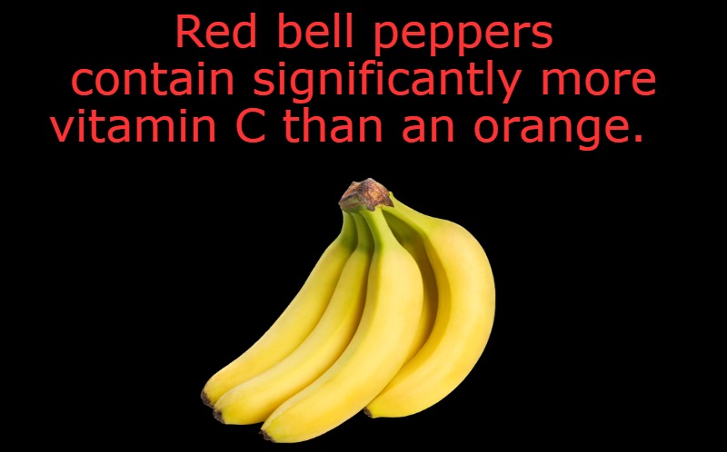black screen | Red bell peppers contain significantly more vitamin C than an orange. | image tagged in black screen | made w/ Imgflip meme maker