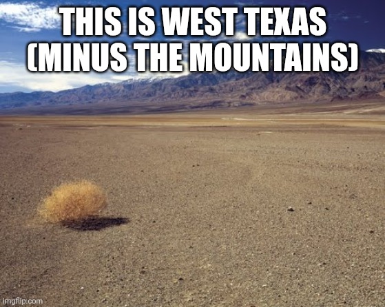 desert tumbleweed | THIS IS WEST TEXAS (MINUS THE MOUNTAINS) | image tagged in desert tumbleweed | made w/ Imgflip meme maker