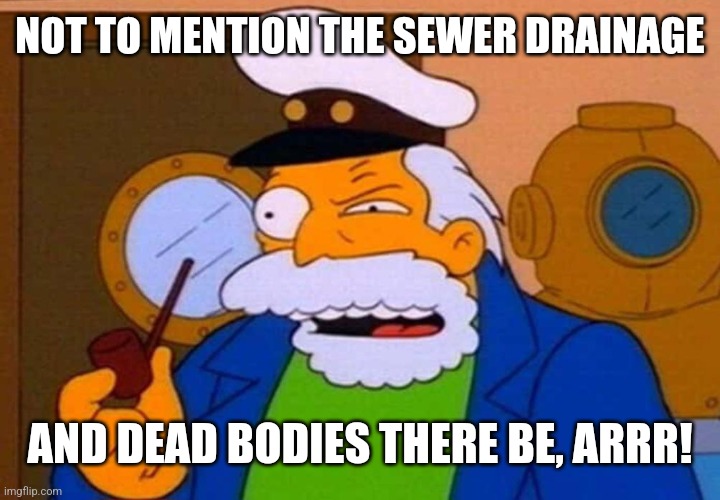 Me White Whale | NOT TO MENTION THE SEWER DRAINAGE AND DEAD BODIES THERE BE, ARRR! | image tagged in me white whale | made w/ Imgflip meme maker