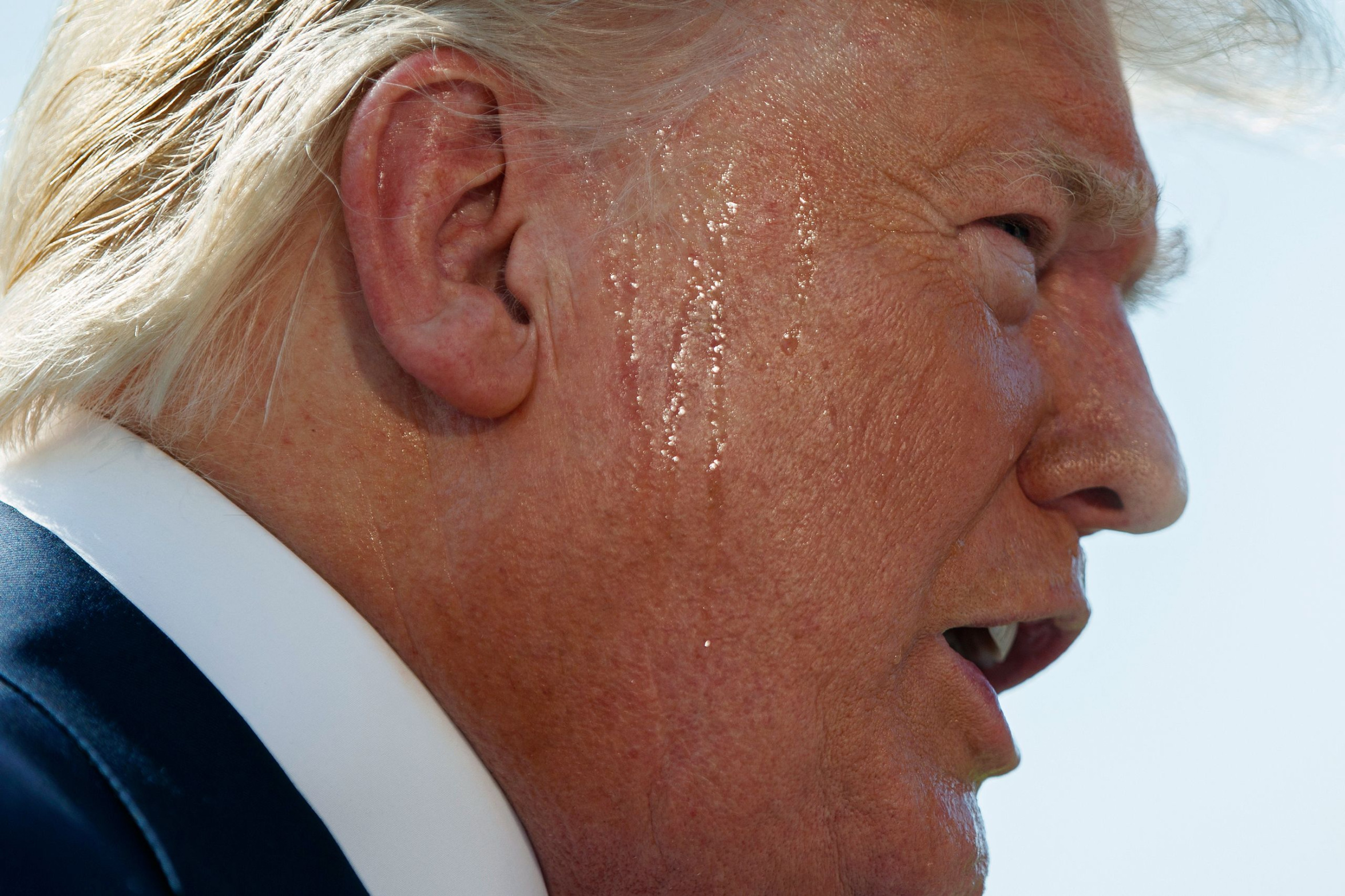 Sweaty Trump Profile Blank Meme Template