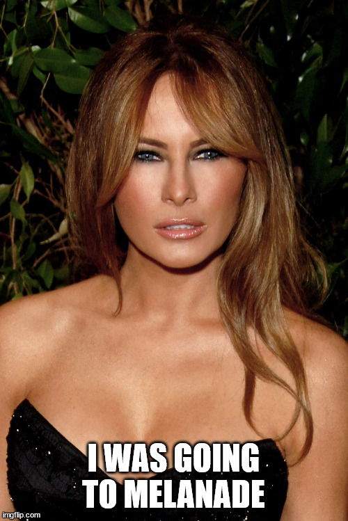 melania trump | I WAS GOING TO MELANADE | image tagged in melania trump | made w/ Imgflip meme maker
