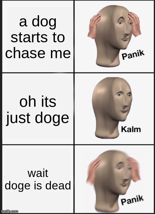 R.I.P. doge | a dog starts to chase me; oh its just doge; wait doge is dead | image tagged in memes,panik kalm panik,doge | made w/ Imgflip meme maker