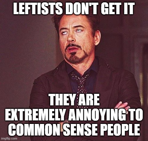 Robert Downey Jr Annoyed | LEFTISTS DON'T GET IT THEY ARE EXTREMELY ANNOYING TO COMMON SENSE PEOPLE | image tagged in robert downey jr annoyed | made w/ Imgflip meme maker
