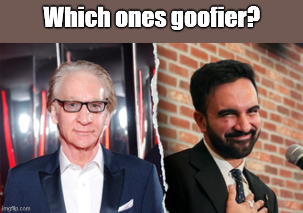 Which ones goofier? | made w/ Imgflip meme maker